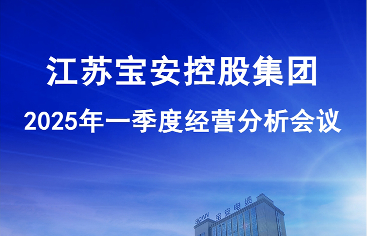江蘇寶安控股集團(tuán)2025年一季度經(jīng)營(yíng)分析會(huì)議圓滿(mǎn)召開(kāi)